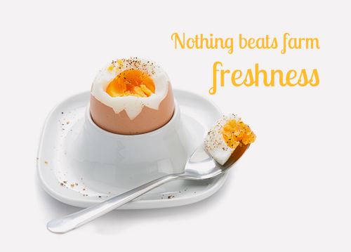 تخممرغ جنان — Jenan Eggs