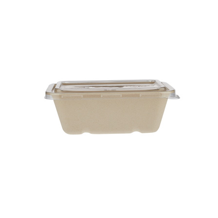 ظرف غذای زیستتخریبپذیر ۷۵۰ میلیلیتر — Eco Friendly Food Container 750Ml