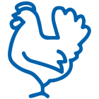 مرغ بدون آنتیبیوتیک — Antibiotic-free Chicken